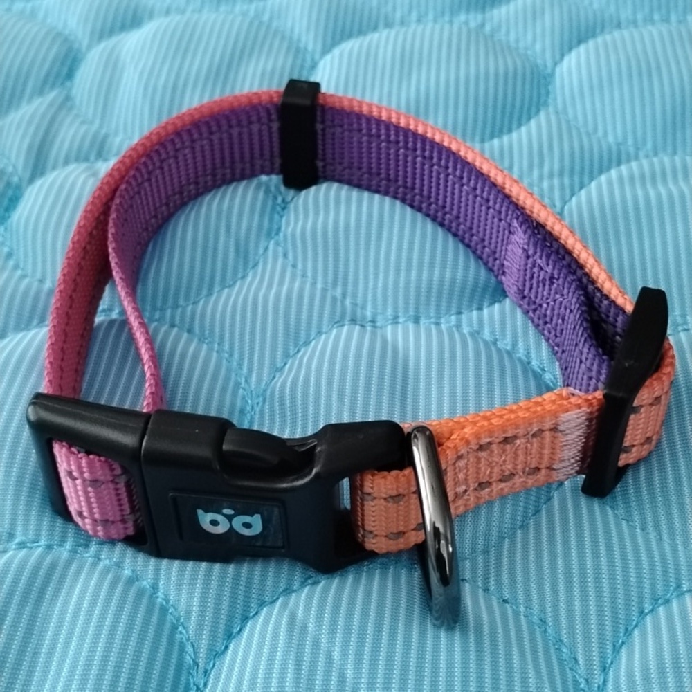 Colorful Pink and Purple Dog Collar